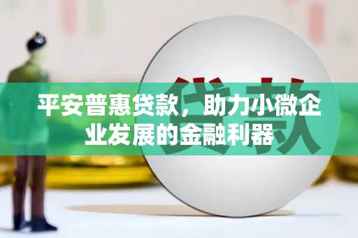 三民平安普惠贷款，助力小微企业发展的金融利器