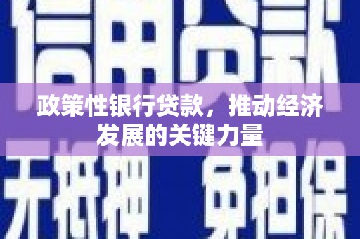 三民政策性银行贷款，推动经济发展的关键力量