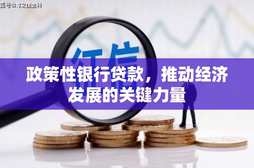 三民政策性银行贷款，推动经济发展的关键力量