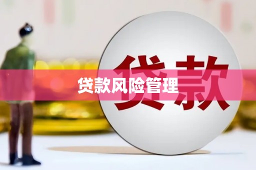 三民贷款风险管理