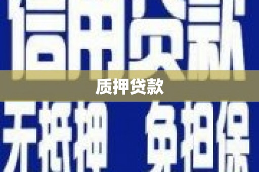 三民质押贷款