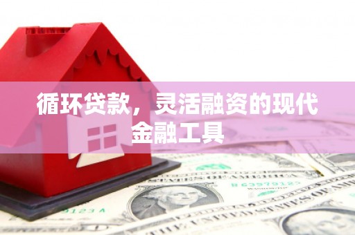 三民循环贷款，灵活融资的现代金融工具