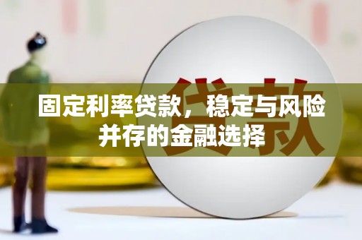 三民固定利率贷款，稳定与风险并存的金融选择