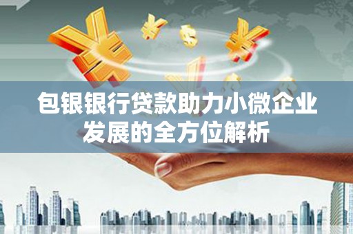 三民包银银行贷款助力小微企业发展的全方位解析