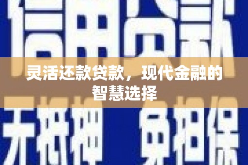 三民灵活还款贷款，现代金融的智慧选择