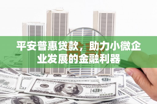 三民平安普惠贷款，助力小微企业发展的金融利器