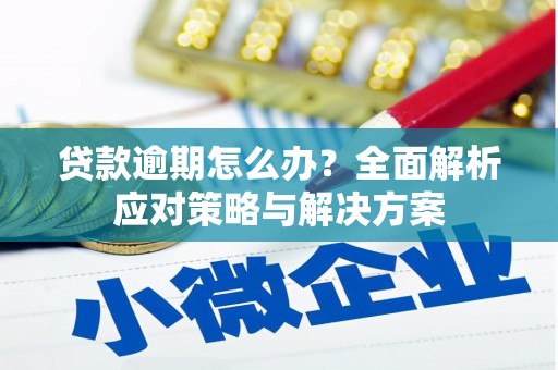 三民贷款逾期怎么办？全面解析应对策略与解决方案