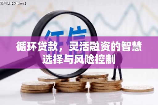 三民循环贷款，灵活融资的智慧选择与风险控制