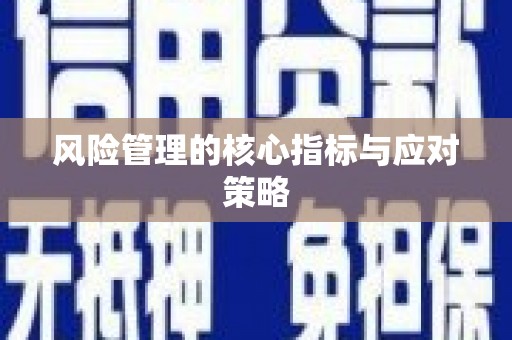 三民风险管理的核心指标与应对策略