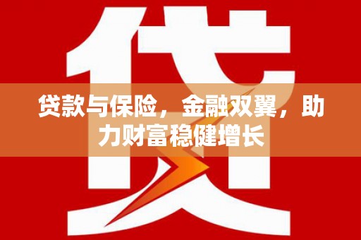 三民贷款与保险，金融双翼，助力财富稳健增长