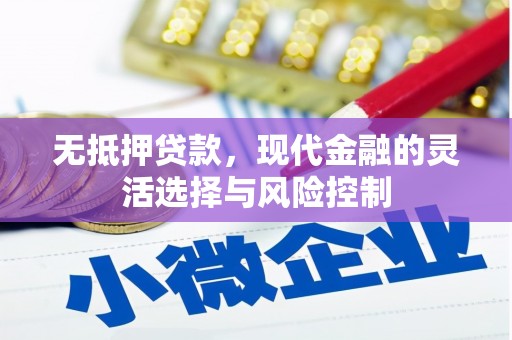 三民无抵押贷款，现代金融的灵活选择与风险控制