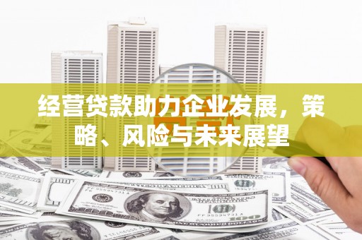 三民经营贷款助力企业发展，策略、风险与未来展望