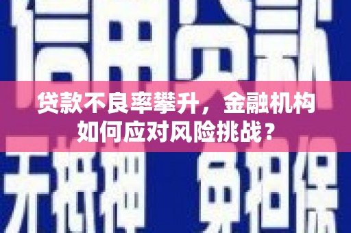 三民贷款不良率攀升，金融机构如何应对风险挑战？
