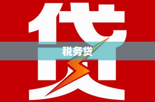三民税务贷