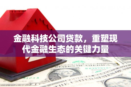 三民金融科技公司贷款，重塑现代金融生态的关键力量