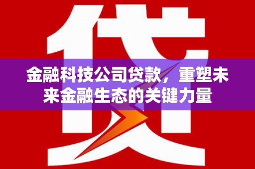 三民金融科技公司贷款，重塑未来金融生态的关键力量