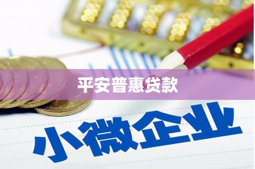 三民平安普惠贷款
