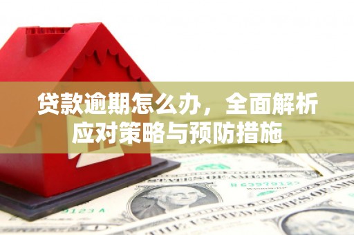 三民贷款逾期怎么办，全面解析应对策略与预防措施