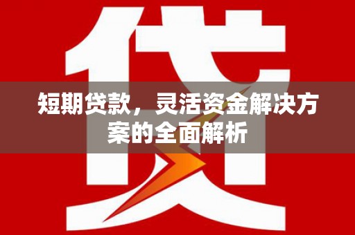 三民短期贷款，灵活资金解决方案的全面解析
