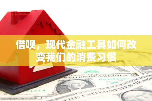 三民借呗，现代金融工具如何改变我们的消费习惯