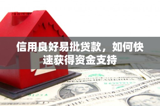 三民信用良好易批贷款，如何快速获得资金支持