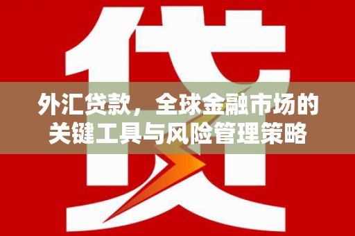 三民外汇贷款，全球金融市场的关键工具与风险管理策略