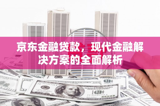 三民京东金融贷款，现代金融解决方案的全面解析