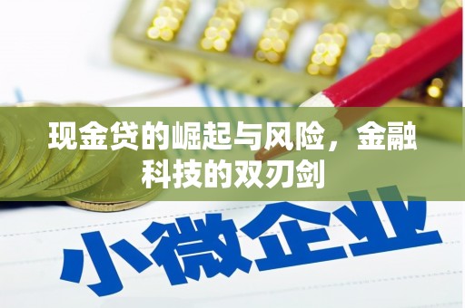 三民现金贷的崛起与风险，金融科技的双刃剑