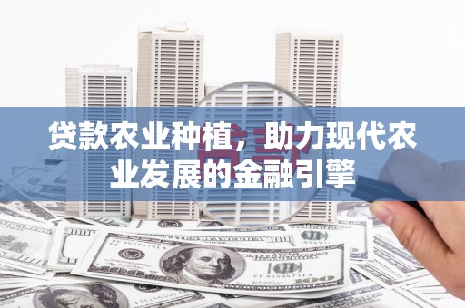 三民贷款农业种植，助力现代农业发展的金融引擎