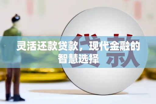 三民灵活还款贷款，现代金融的智慧选择