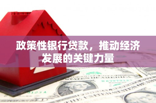 三民政策性银行贷款，推动经济发展的关键力量