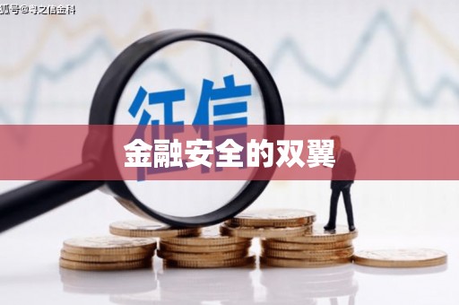 三民金融安全的双翼
