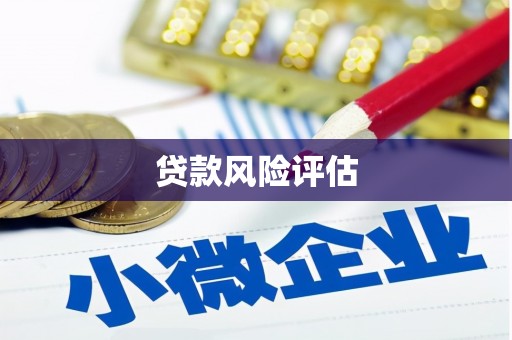 三民贷款风险评估