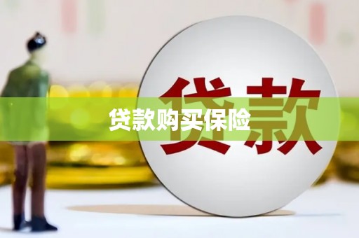 三民贷款购买保险