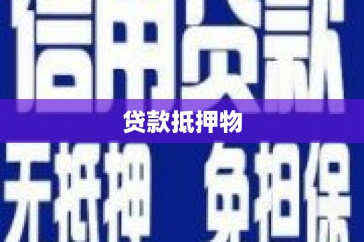 三民贷款抵押物