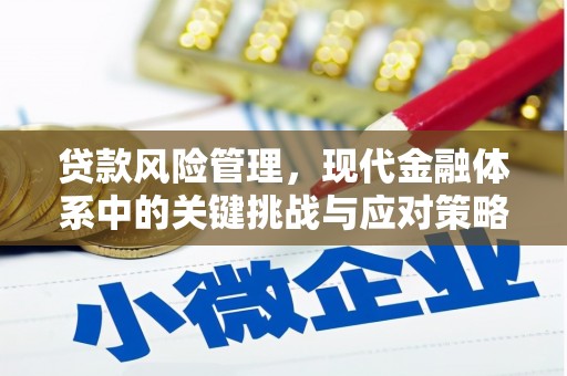 三民贷款风险管理，现代金融体系中的关键挑战与应对策略
