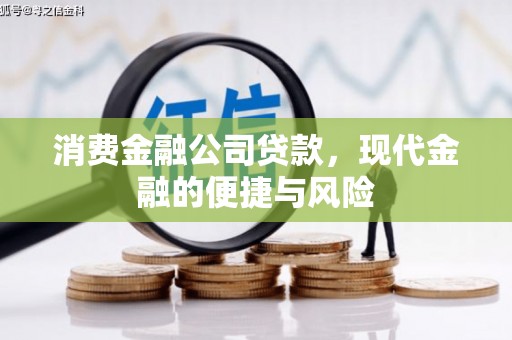三民消费金融公司贷款，现代金融的便捷与风险