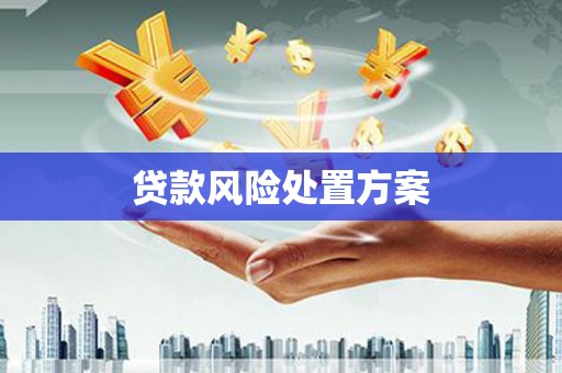 三民贷款风险处置方案
