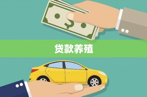 三民贷款养殖