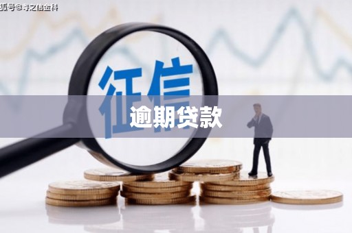 三民逾期贷款