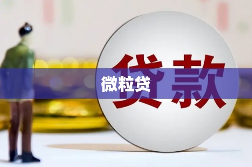三民微粒贷