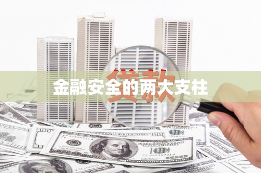 三民金融安全的两大支柱