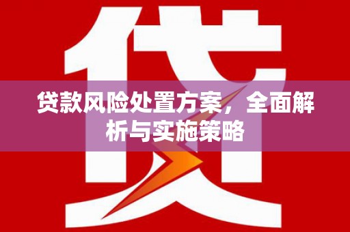 三民贷款风险处置方案，全面解析与实施策略