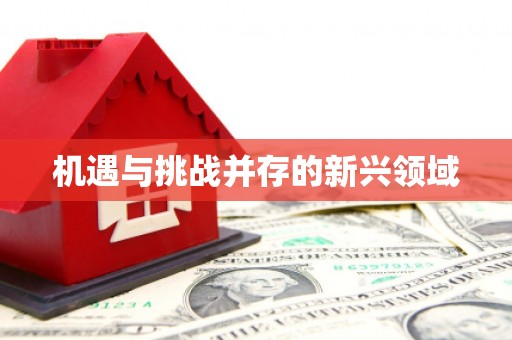 三民机遇与挑战并存的新兴领域