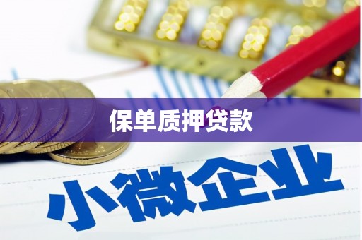 三民保单质押贷款